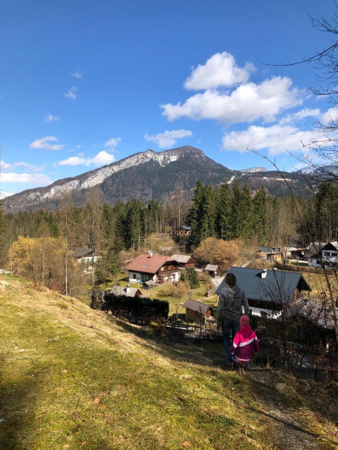 Apartment Goisernperle Bad Goisern Kültér fotó